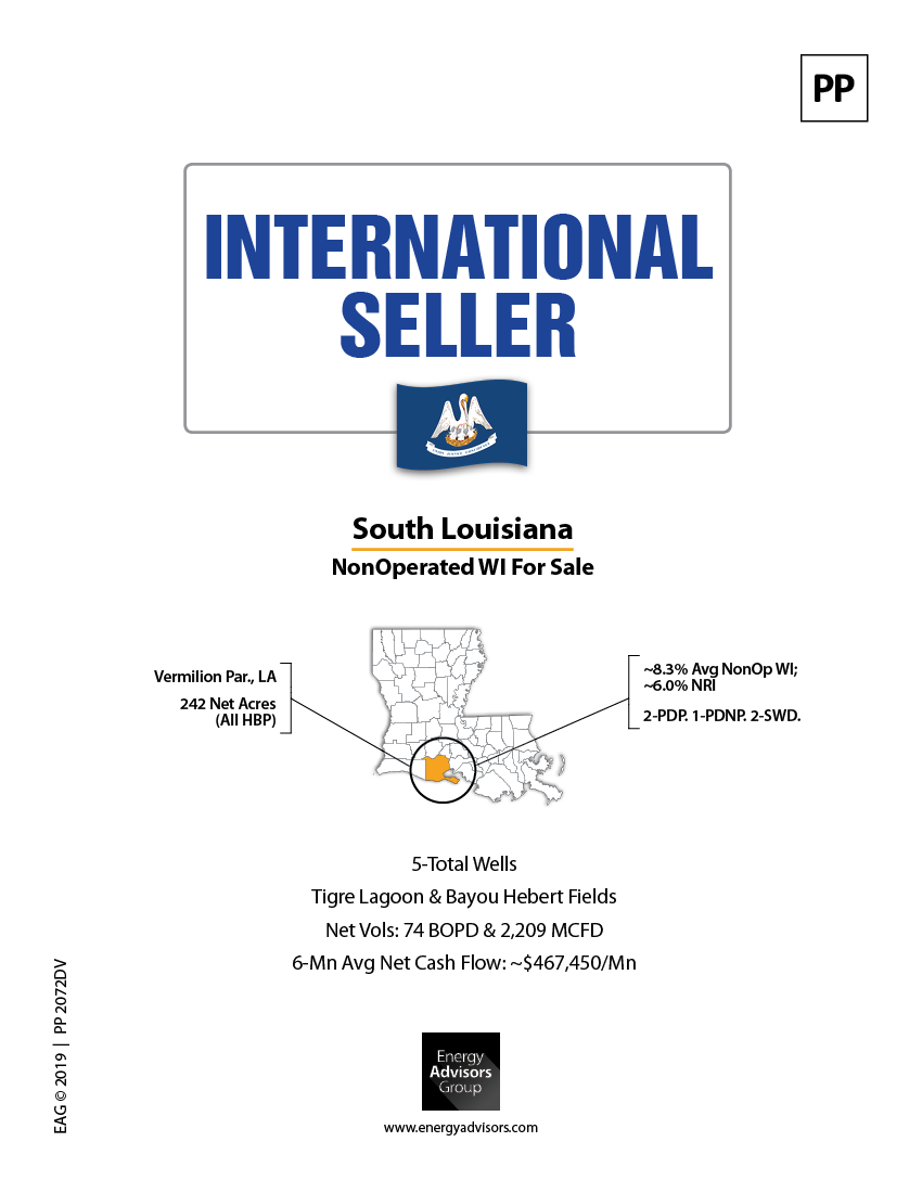 GULF COAST NONOP SALE PACKAGE - Energy Advisors Group GULF COAST NONOP SALE PACKAGE