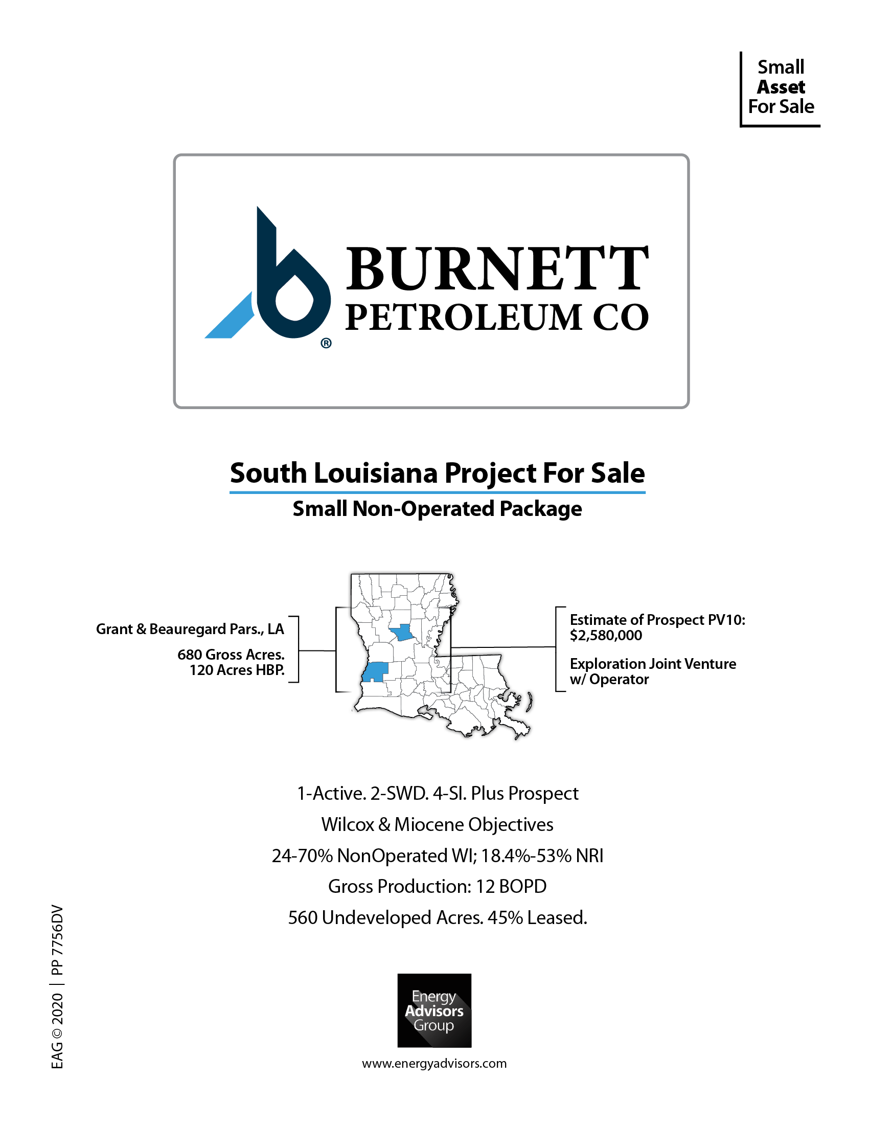 SOUTH LOUSIANA PROJECT - Energy Advisors Group SOUTH LOUSIANA PROJECT