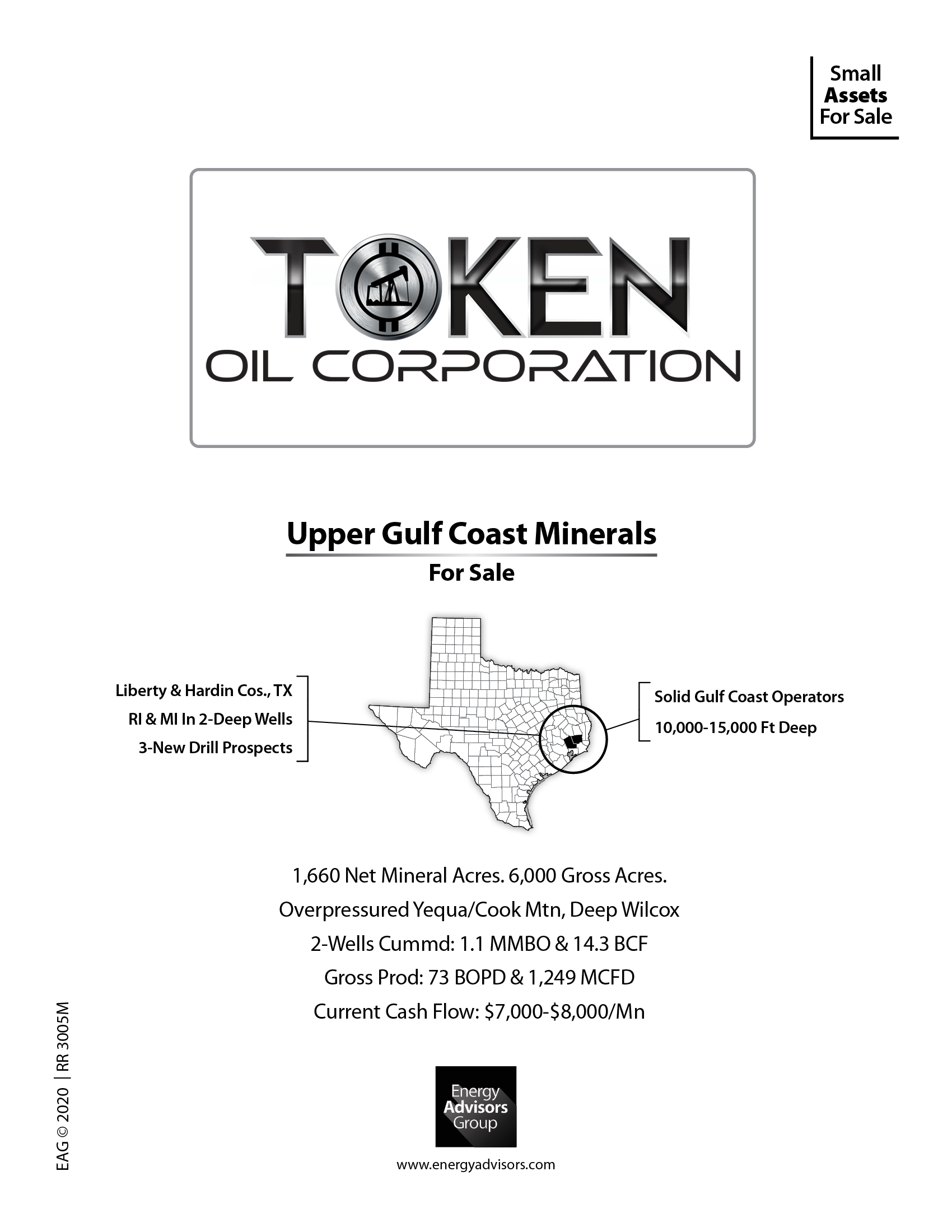 GULF COAST ROYALTY FOR SALE - Energy Advisors Group GULF COAST ROYALTY FOR SALE