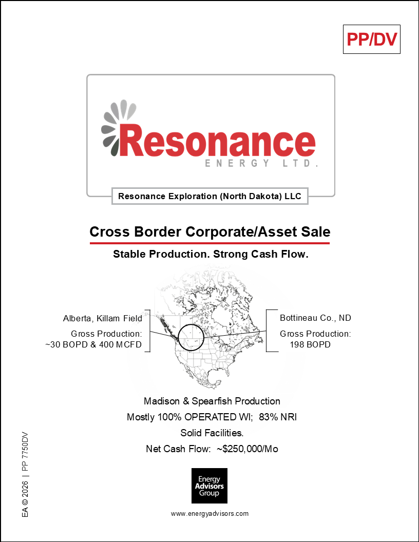 CROSS BORDER COMPANY FOR SALE
